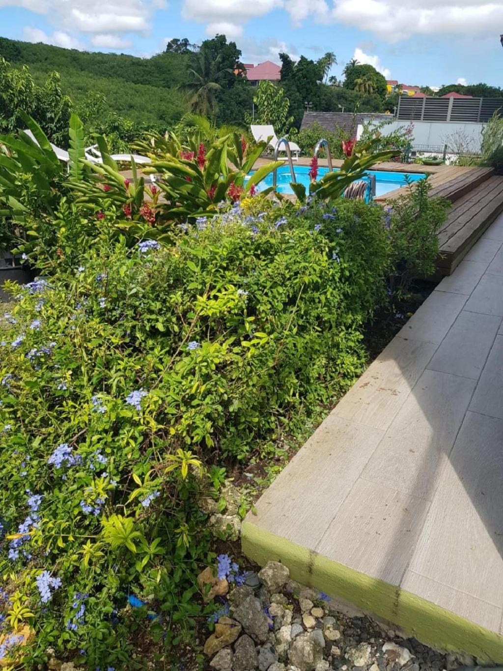 Studio Avec Piscine, A 3 Minutes A Pied Des Plages Sainte-Anne  Zewnętrze zdjęcie